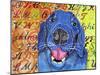 Jagr the Labrador-Lauren Moss-Mounted Giclee Print