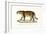 Jaguar, 1824-Karl Joseph Brodtmann-Framed Giclee Print
