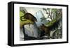 Jaguar, 1860-null-Framed Stretched Canvas