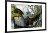 Jaguar, 1860-null-Framed Giclee Print