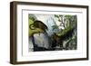 Jaguar, 1860-null-Framed Giclee Print