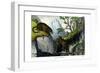 Jaguar, 1860-null-Framed Giclee Print