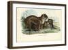 Jaguar, 1863-79-Raimundo Petraroja-Framed Giclee Print