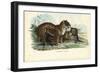 Jaguar, 1863-79-Raimundo Petraroja-Framed Giclee Print