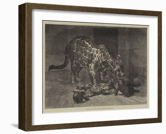 Jaguar and Cubs at the Jardin Des Plantes-Auguste Andre Lancon-Framed Giclee Print