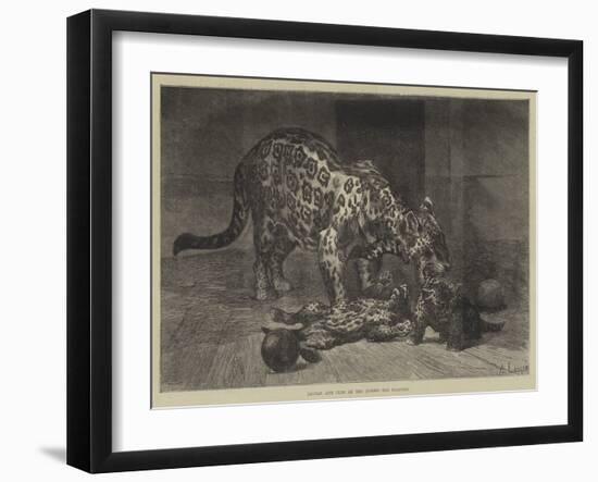 Jaguar and Cubs at the Jardin Des Plantes-Auguste Andre Lancon-Framed Giclee Print