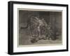 Jaguar and Cubs at the Jardin Des Plantes-Auguste Andre Lancon-Framed Giclee Print