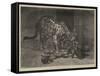 Jaguar and Cubs at the Jardin Des Plantes-Auguste Andre Lancon-Framed Stretched Canvas