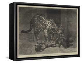 Jaguar and Cubs at the Jardin Des Plantes-Auguste Andre Lancon-Framed Stretched Canvas