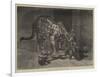 Jaguar and Cubs at the Jardin Des Plantes-Auguste Andre Lancon-Framed Giclee Print