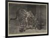 Jaguar and Cubs at the Jardin Des Plantes-Auguste Andre Lancon-Framed Giclee Print