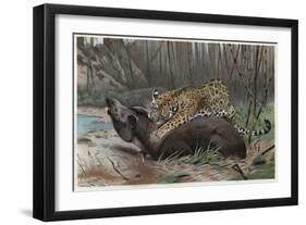 Jaguar by Alfred Edmund Brehm-Stefano Bianchetti-Framed Giclee Print