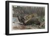 Jaguar by Alfred Edmund Brehm-Stefano Bianchetti-Framed Giclee Print