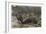 Jaguar by Alfred Edmund Brehm-Stefano Bianchetti-Framed Giclee Print