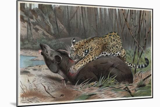 Jaguar by Alfred Edmund Brehm-Stefano Bianchetti-Mounted Giclee Print