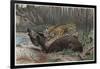 Jaguar by Alfred Edmund Brehm-Stefano Bianchetti-Framed Giclee Print