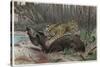 Jaguar by Alfred Edmund Brehm-Stefano Bianchetti-Stretched Canvas