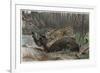 Jaguar by Alfred Edmund Brehm-Stefano Bianchetti-Framed Giclee Print