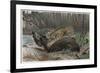 Jaguar by Alfred Edmund Brehm-Stefano Bianchetti-Framed Giclee Print