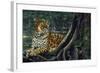 Jaguar by the River-Harro Maass-Framed Giclee Print