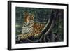 Jaguar by the River-Harro Maass-Framed Giclee Print