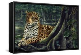 Jaguar by the River-Harro Maass-Framed Stretched Canvas