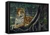 Jaguar by the River-Harro Maass-Framed Stretched Canvas