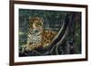 Jaguar by the River-Harro Maass-Framed Giclee Print