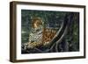 Jaguar by the River-Harro Maass-Framed Giclee Print