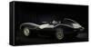 Jaguar D type 1956-Simon Clay-Framed Stretched Canvas