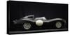 Jaguar D type 1956-Simon Clay-Stretched Canvas