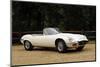 Jaguar E type 1974-Simon Clay-Mounted Photographic Print