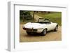 Jaguar E type 1974-Simon Clay-Framed Photographic Print