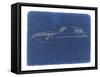 Jaguar E Type-NaxArt-Framed Stretched Canvas