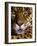 Jaguar Face (Panthera Onca), Amazon Basin, Peru-Andres Morya Hinojosa-Framed Photographic Print