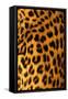 Jaguar Fur-Siede Preis-Framed Stretched Canvas