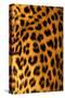 Jaguar Fur-Siede Preis-Stretched Canvas