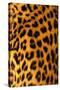 Jaguar Fur-Siede Preis-Stretched Canvas