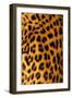 Jaguar Fur-Siede Preis-Framed Premium Photographic Print