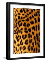 Jaguar Fur-Siede Preis-Framed Premium Photographic Print