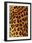 Jaguar Fur-Siede Preis-Framed Premium Photographic Print