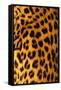 Jaguar Fur-Siede Preis-Framed Stretched Canvas