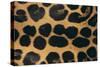 Jaguar Fur-DLILLC-Stretched Canvas