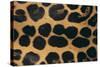 Jaguar Fur-DLILLC-Stretched Canvas