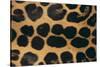 Jaguar Fur-DLILLC-Stretched Canvas