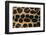 Jaguar Fur-DLILLC-Framed Premium Photographic Print