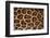 Jaguar Fur-DLILLC-Framed Photographic Print