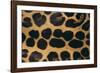 Jaguar Fur-DLILLC-Framed Photographic Print