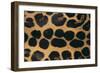 Jaguar Fur-DLILLC-Framed Photographic Print