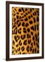 Jaguar Fur-Siede Preis-Framed Photographic Print